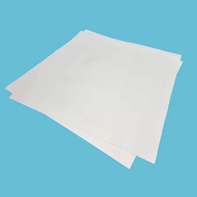 Expanded PTFE Sheet