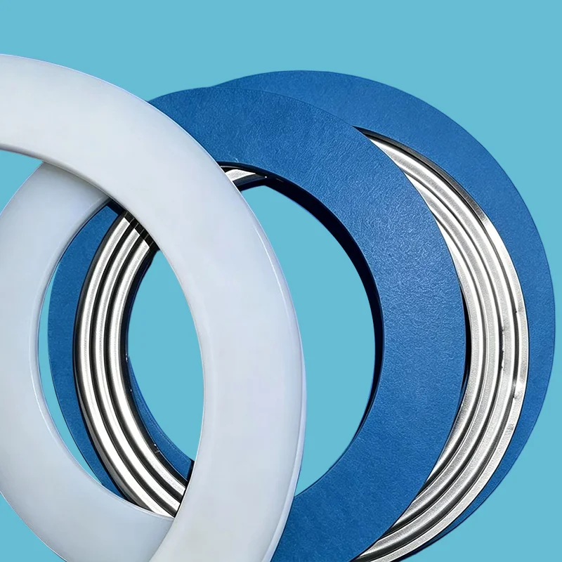PTFE Envelope Gasket for Glass-Lined Flange