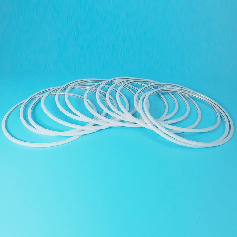U-Type Spring Energized Seal