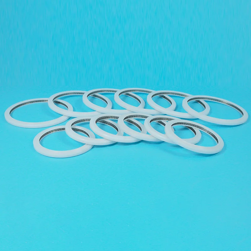 V-Type Spring Energized Seal