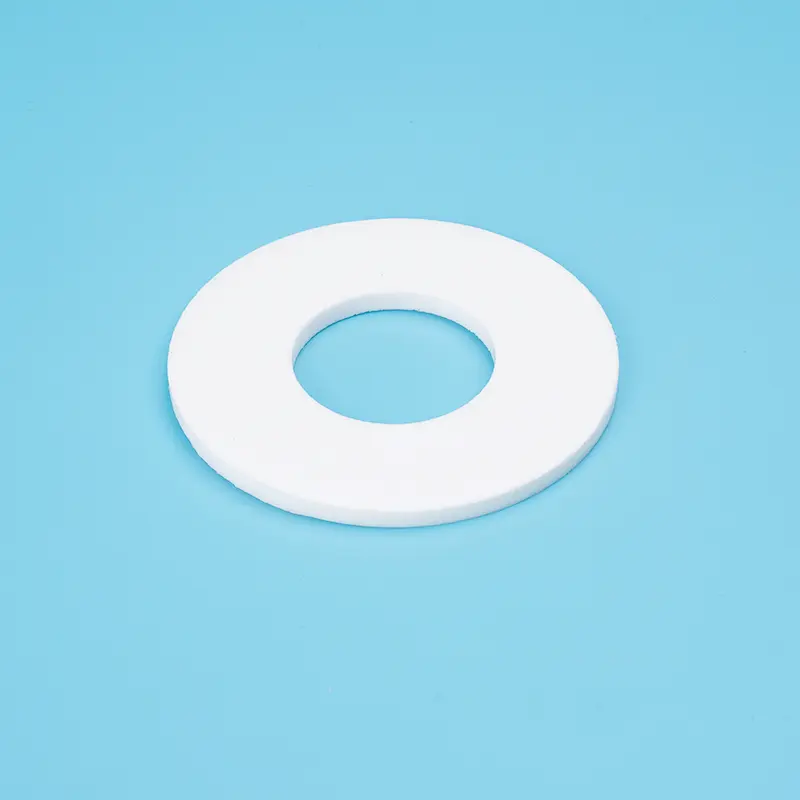 Barium Sulfate-Filled PTFE Gasket
