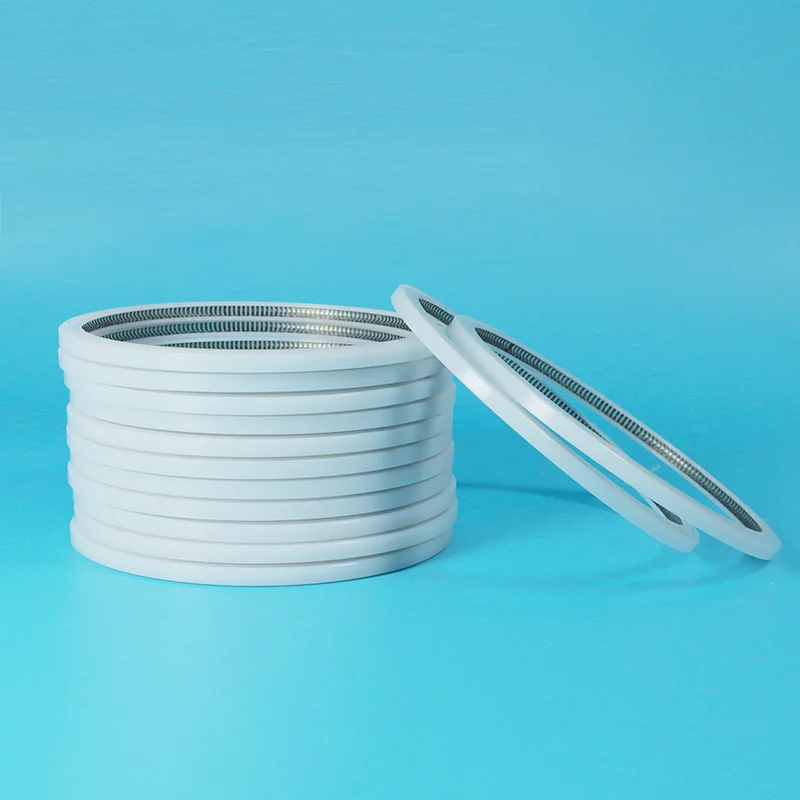 U-Type Spring Energized Seal
