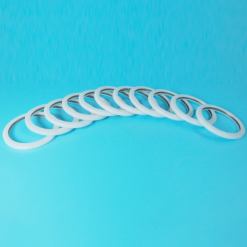 V-Type Spring Energized Seal
